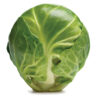 brussel sprout