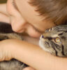 cat and boy