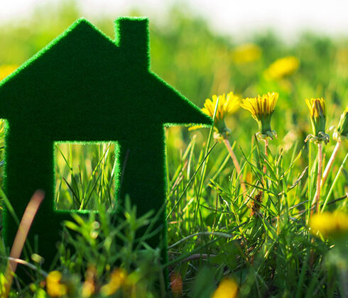 eco-friendly house