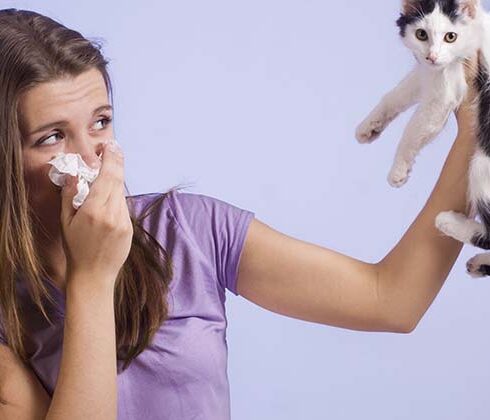 girl holding kitten away