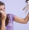 girl holding kitten away