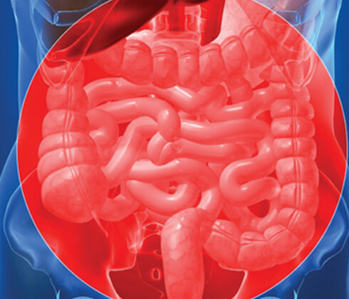small intestine