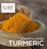 turmeric