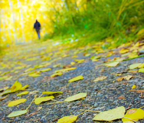 walking in woods