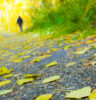 walking in woods