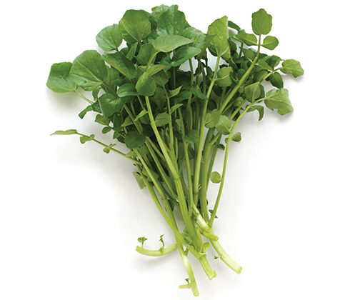 Watercress