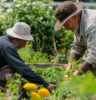 Two men gardening